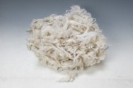 white wool noils 1, white wool noils 1
