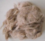 Wool noils fawn